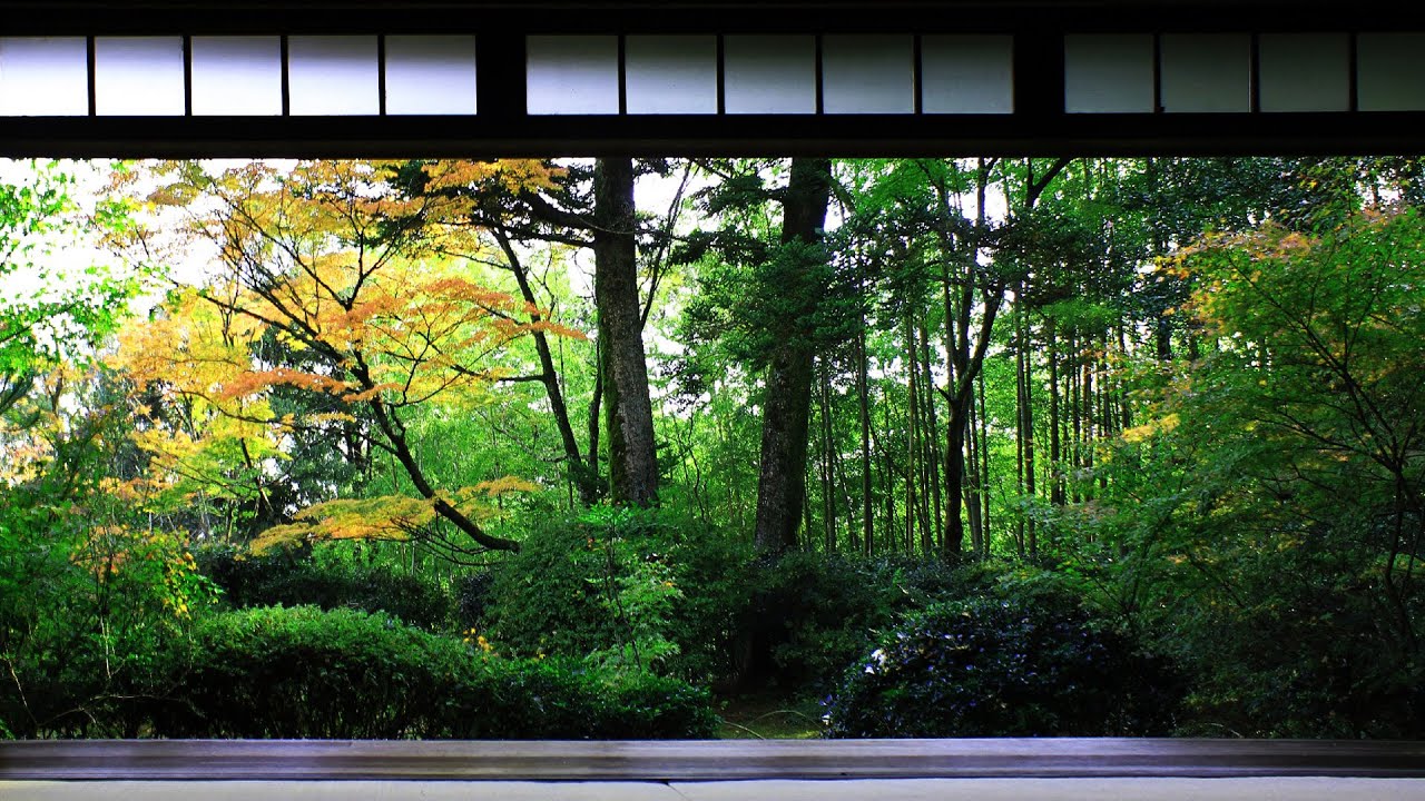 1 HOUR Japanese Temple Bell Sound At 'Hondo' for Relaxing ,Healing And Zen