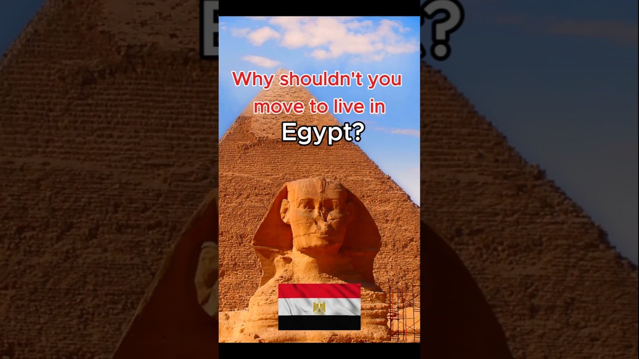 Why You Shouldn't Move to Egypt 🇪🇬 | Egypt Shorts  #expatlife #travel #immigration #egypt