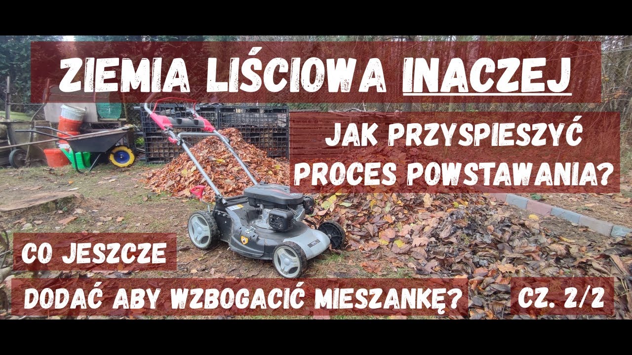 Ziemia liściowa. Co dodać aby wzbogacić i przyspieszyć proces powstawania. Dodatkowe składniki. 2/2