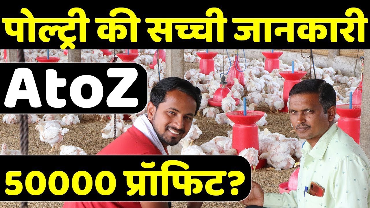आधुनिक पोल्ट्री फार्म बिज़नेस | Poultry Farming Business Plan - Profit | AgriBusiness Ideas