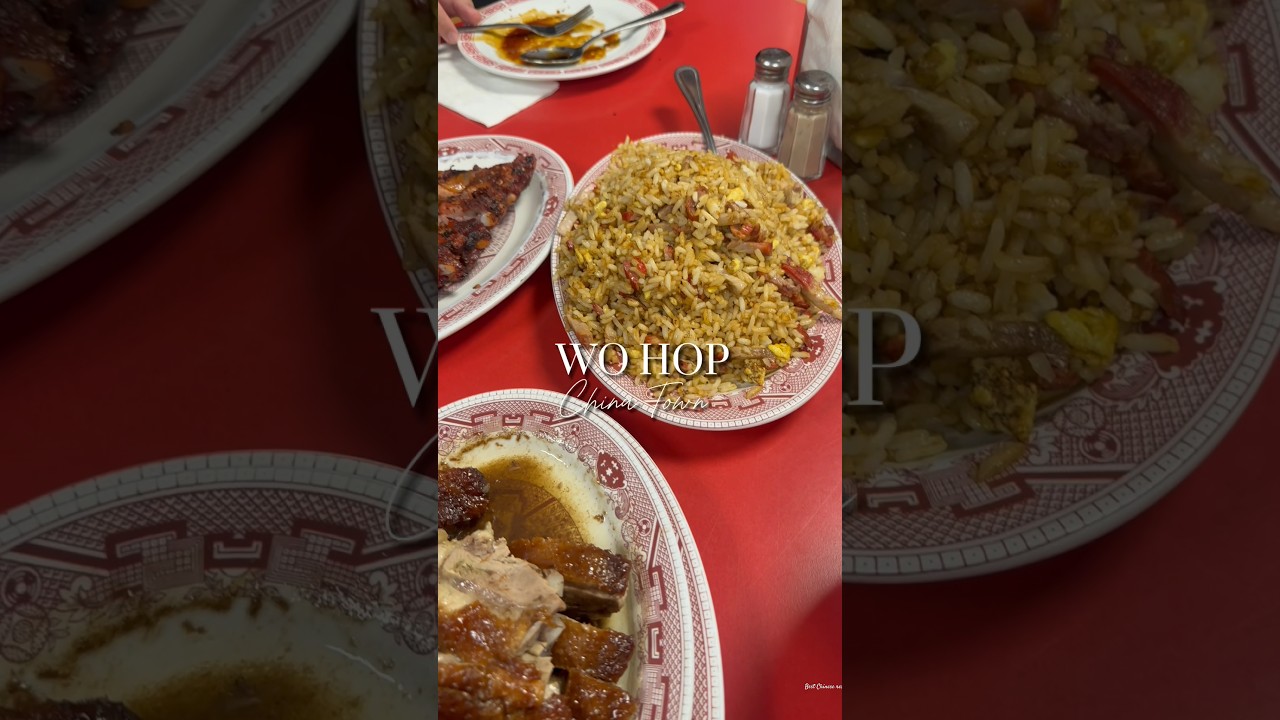 Best Chinese Restaurant in NYC 🥡🥢 Wo Hop  #bestchinesefood #chinatown #nyc #food #travel