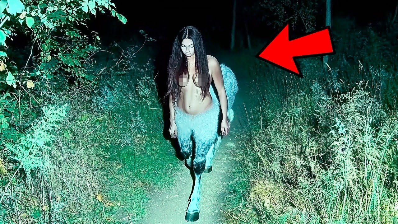 20 vezes em que criaturas míticas foram capturadas vivas em vídeo!