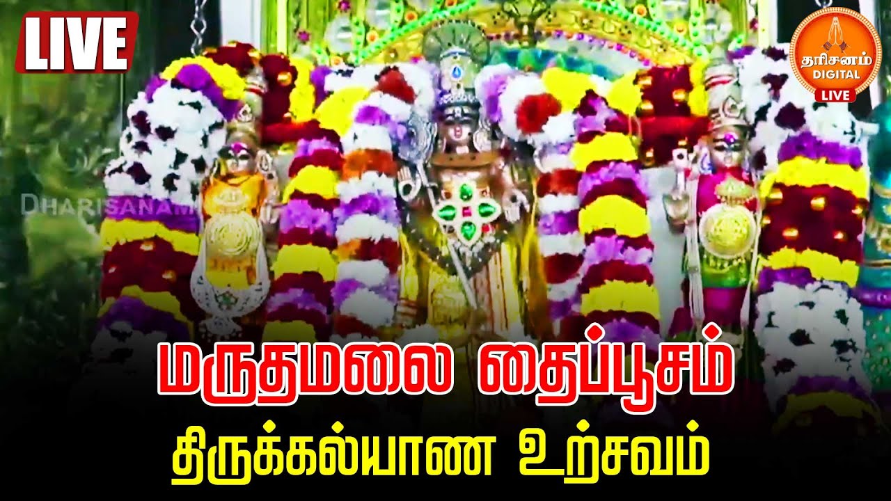 🔴LIVE | Maruthamalai Thirukalyanam | மருதமலை தைப்பூசம் திருக்கல்யாண உற்சவம்