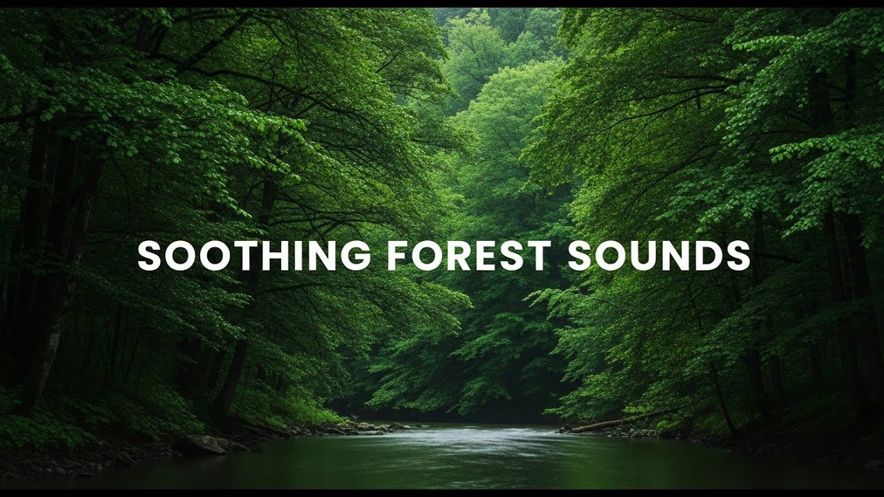 Sleep Faster Tonight River Sounds 12 Hours White Noise for Anxiety