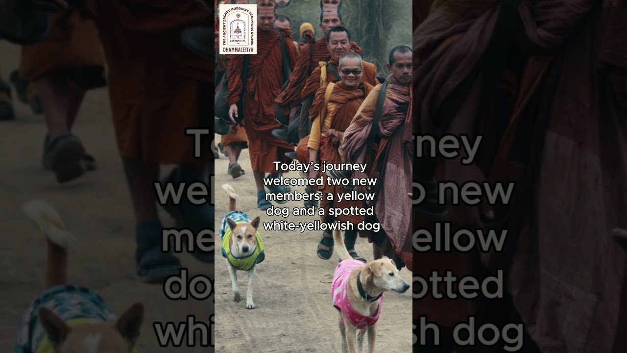 &ldquo;A long night for the insomniac, a long way for the weary&rdquo;