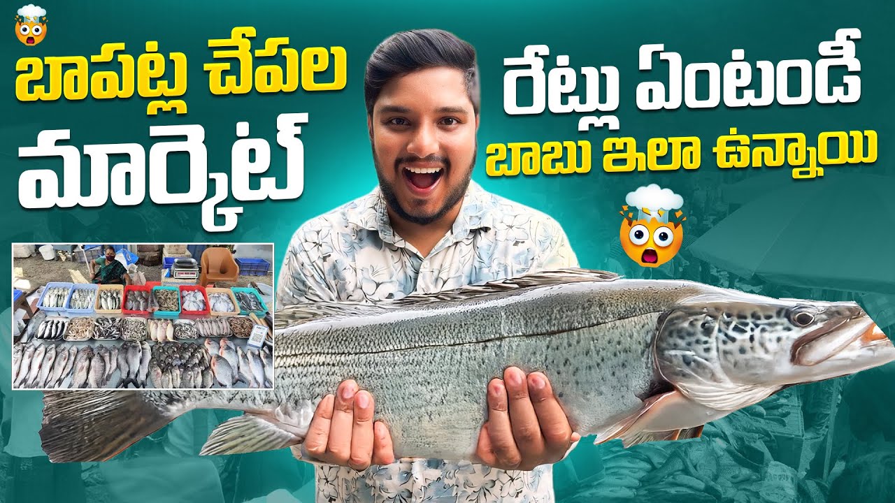 😱 వెళ్లగానే చేపలు పట్టుకొని పెట్టేశారు 😳 | Bapatla Live Fish Market Telugu | Hari Akula