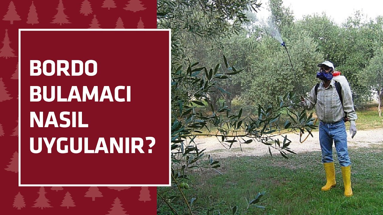 BORDO BULAMACI NASIL UYGULANIR?
