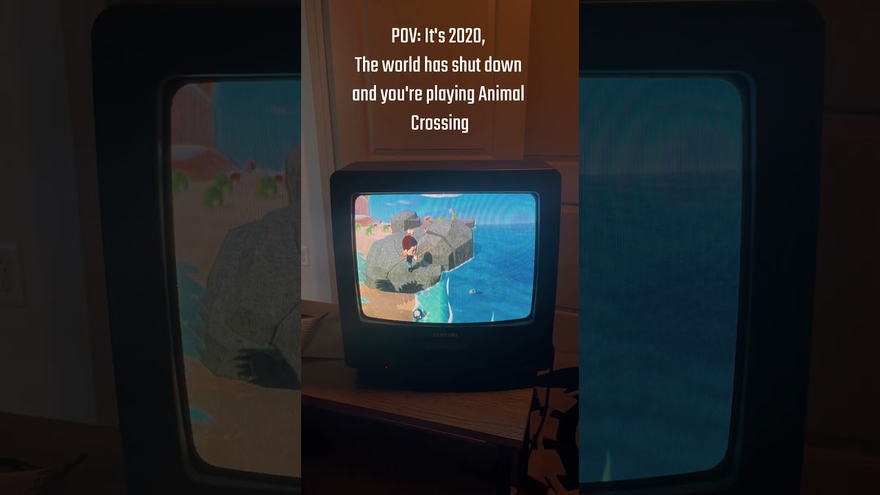 POV: It's 2020 and you're playing Animal Crossing