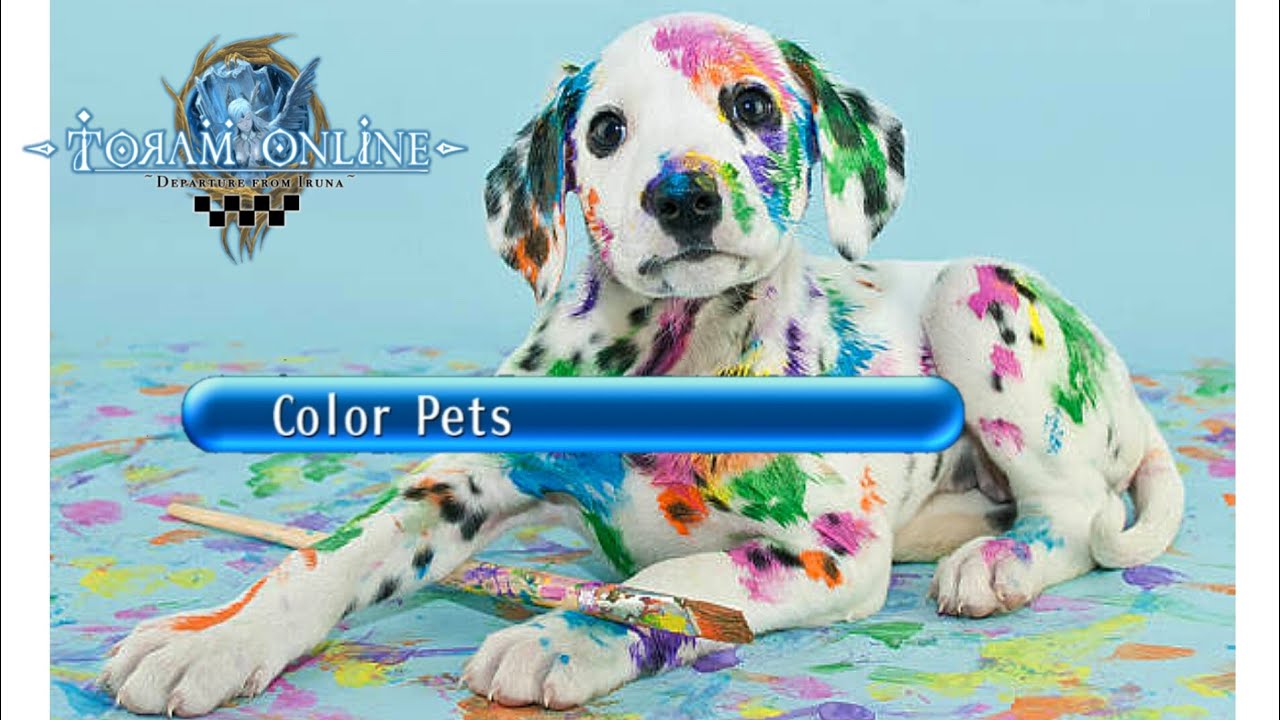 New pet coloring system + best website to find dye list