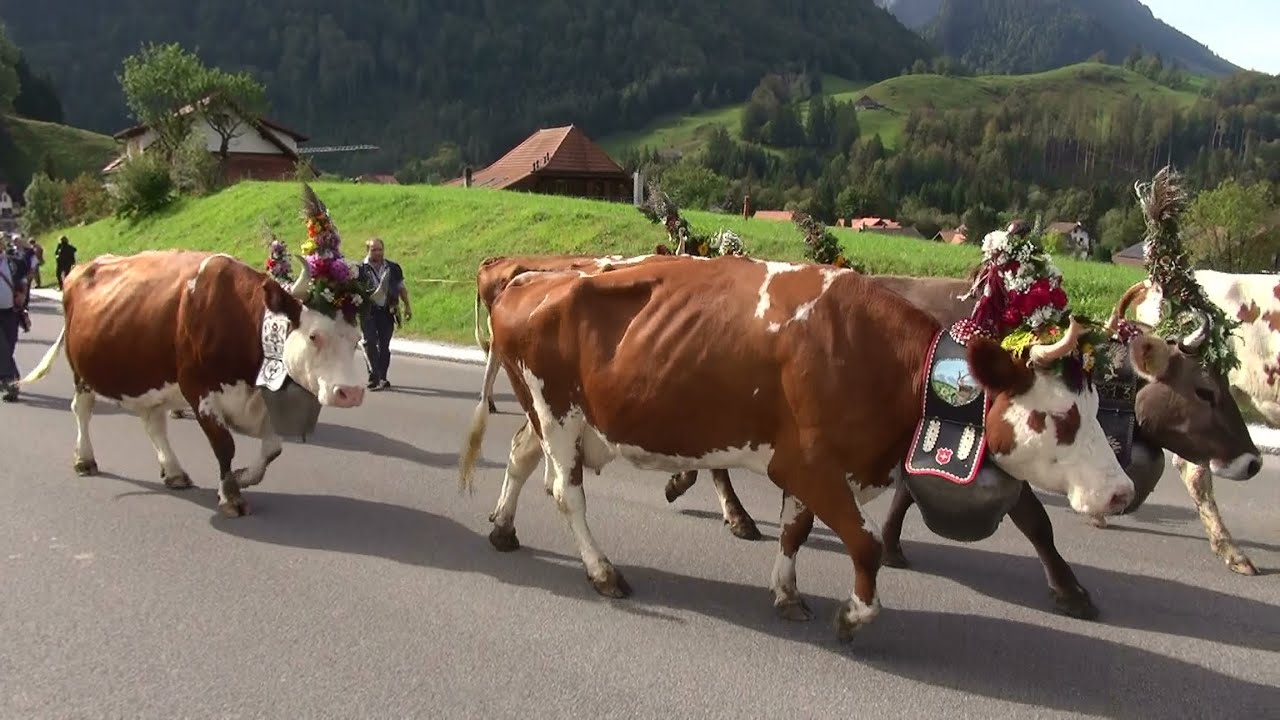 Désalpe de Charmey en Gruyère, Suisse le 25 septembre 2021