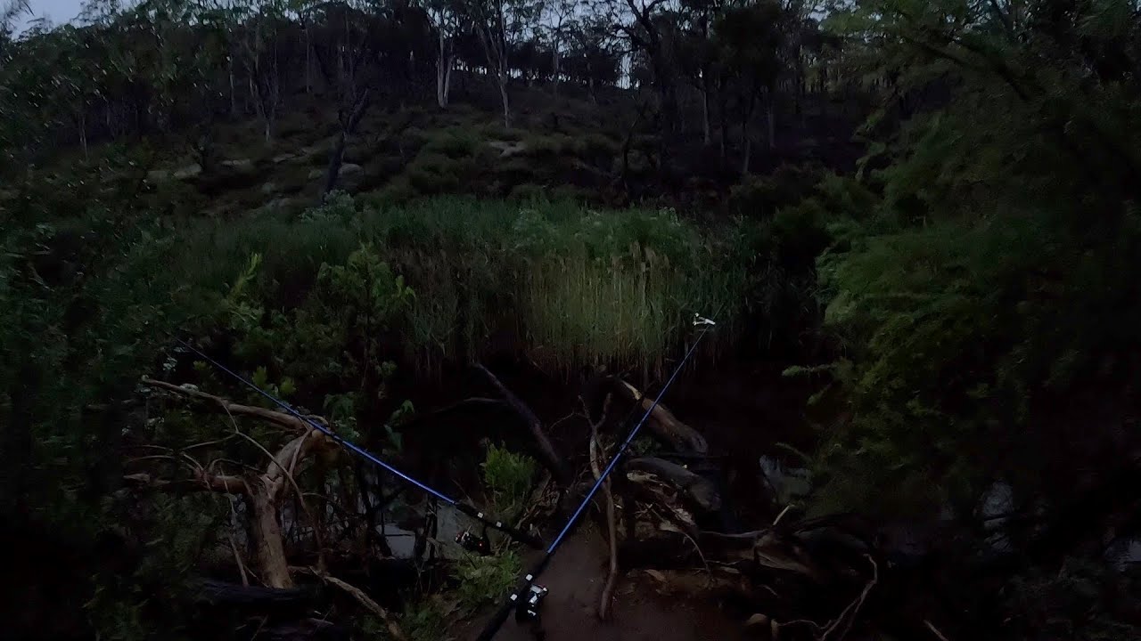 Ущелье Верриби - Мирнионг, рассвет под дождём ☀️ 🌧️ 🎣 🦞 🐟