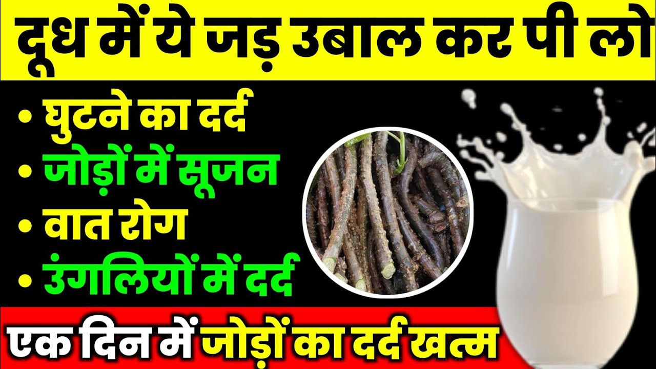घुटना घिस गया है ये चीज जड़ी बूटी रोज खाओ|Best Food For Knees And Joints|Knee Pain In Hindi