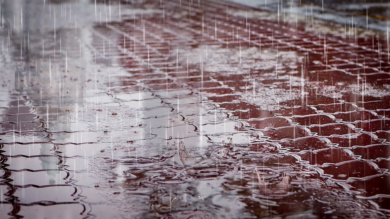 Perfect Rain Sounds For Sleep or Studying | White Noise Nature Rainstorm Audio 10 Hours