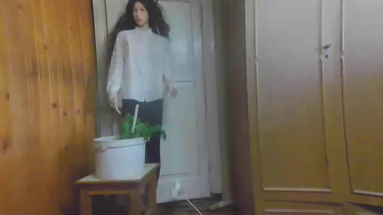 доброго мартовского  денька
