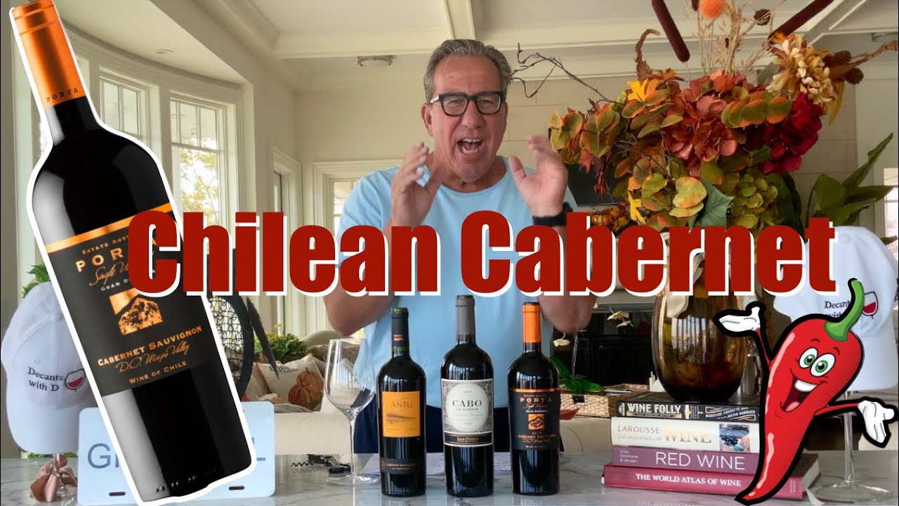 Intro to Chilean Cabernets || Great Value Wine || Decants With D
