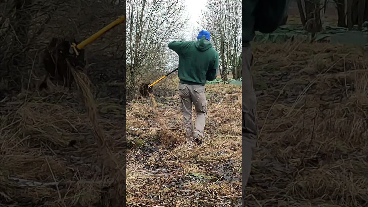 #3: Replanting an APPLE TREE