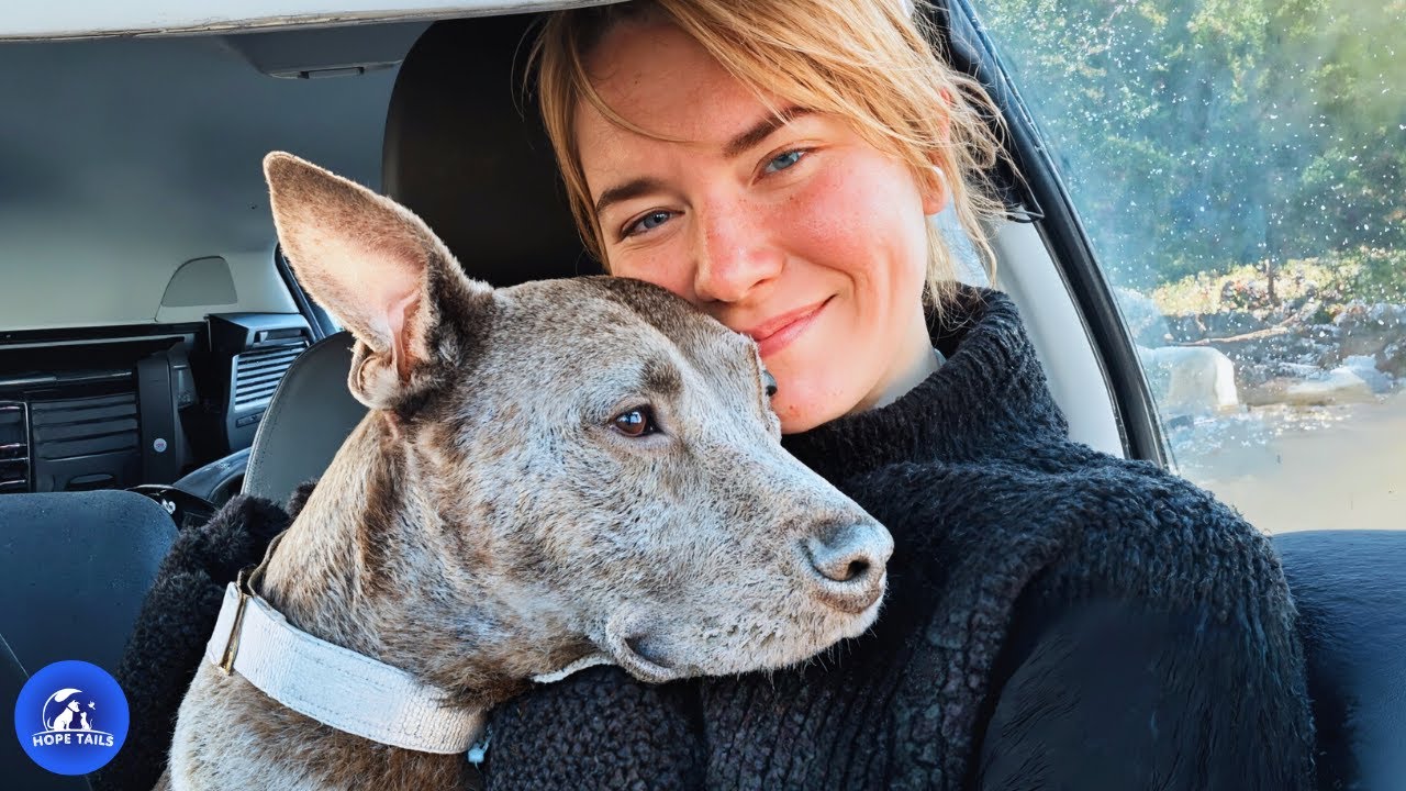 Никто не хотел ее брать три года, пока одна женщина не увидела ее сердце