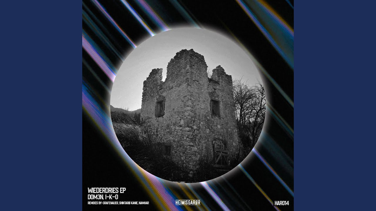 Wiederdries (Original Mix)