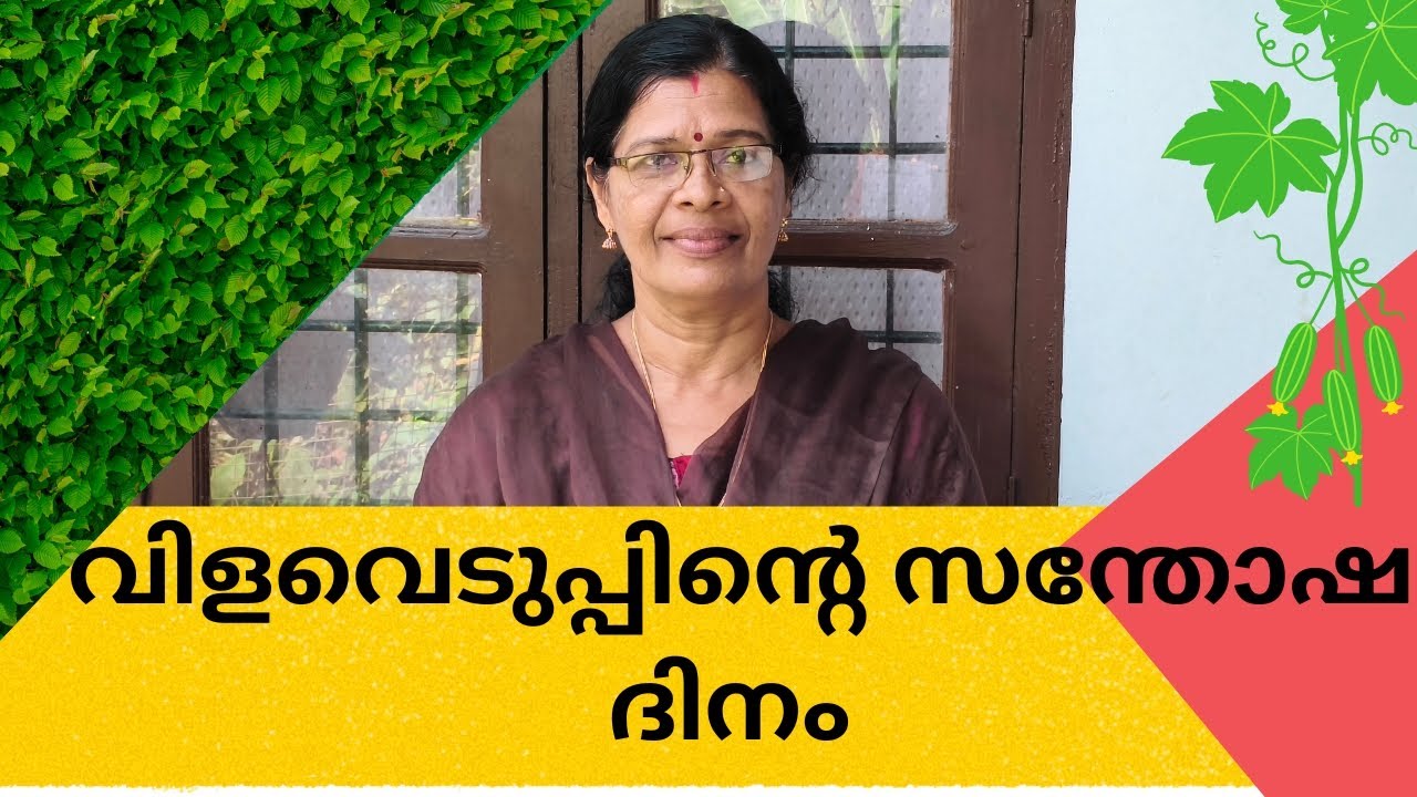 ഒരു കുട്ട നിറയേ വിളവ് 🥰