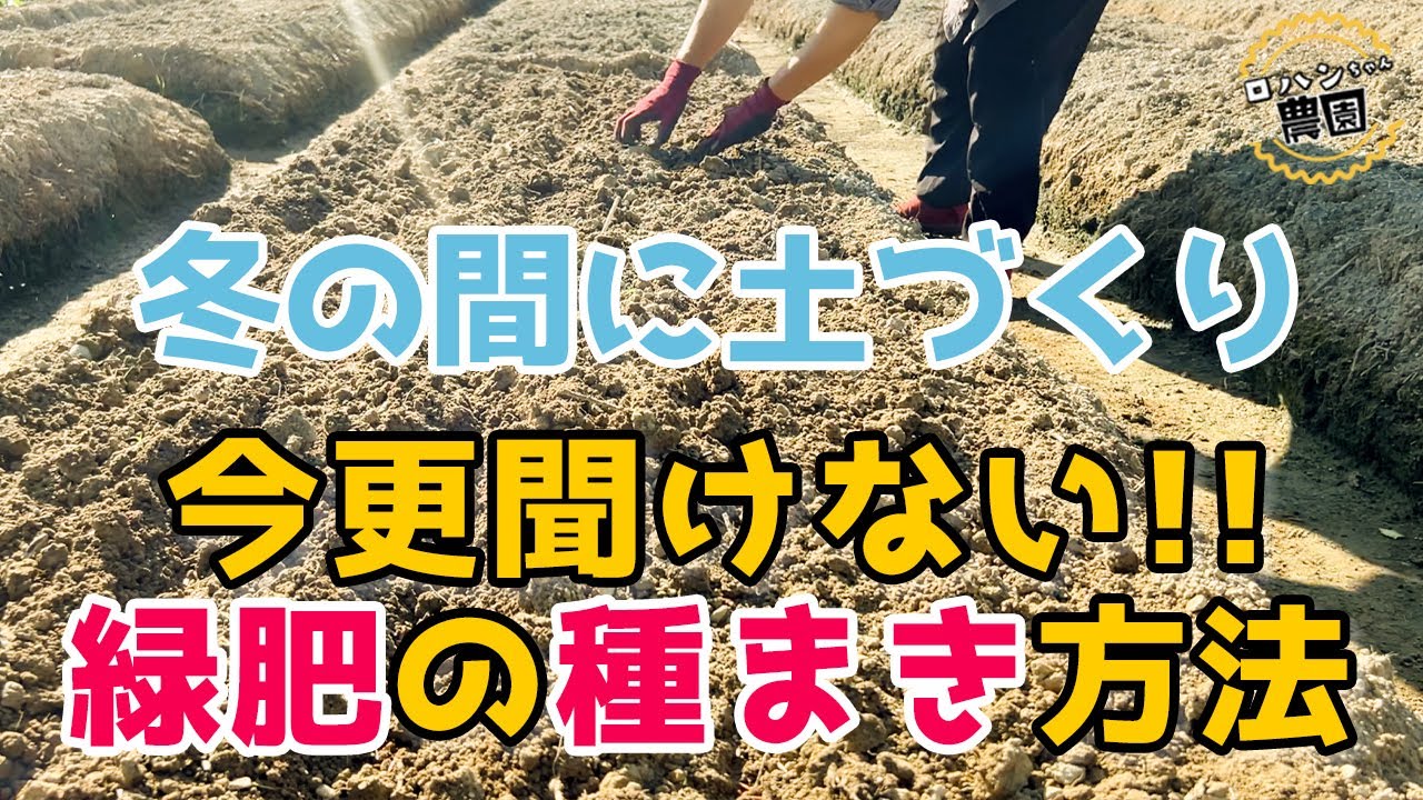 【麦の種まき方法】【緑肥】えん麦・ライ麦・大麦で今からできる土づくり！！まずは土を育てましょう！耕作放棄地土づくり中　【家庭菜園】