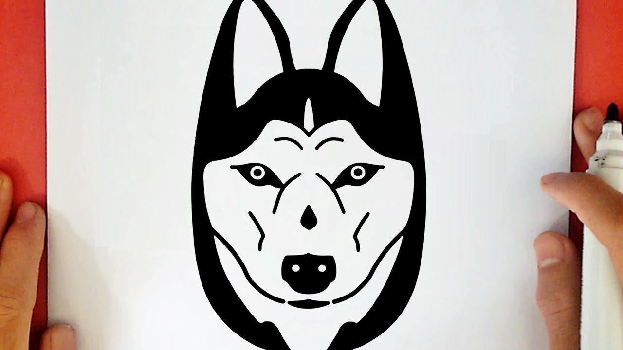 COMO DIBUJAR UN PERRO HUSKY SIBERIANO
