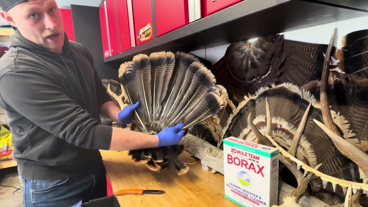 How To Mount A Turkey Fan