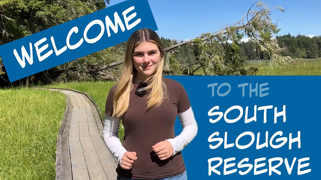 Experience the South Slough Reserve
