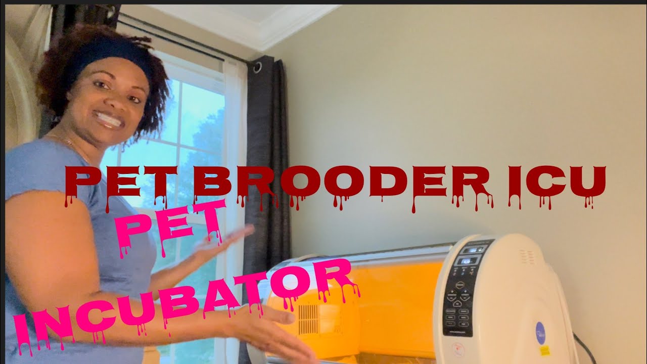 Best incubator for animals/Pet brooder90 review