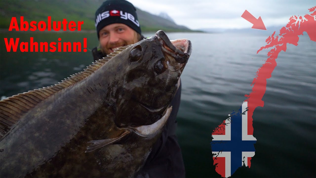 Leichtes HEILBUTT ANGELN im FLACHWASSER! - Meeresangeln mit der Bullseye Beast 275