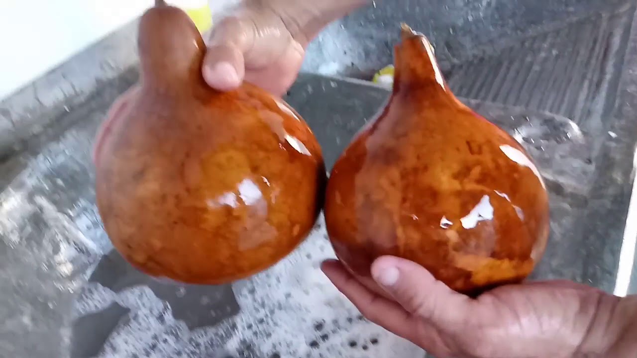 Como preparar a cabaça para o artesanato( limpesa )