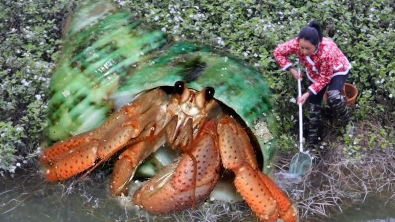 🔥🔥  There are two big diamonds hidden in the clam. Wow, the girl exclaimed loudly