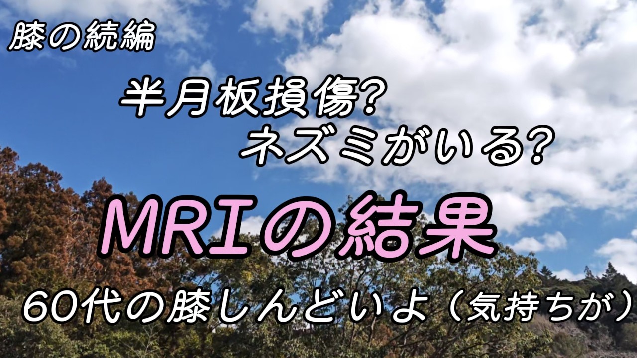 MRIで分かった半月板の欠片。自然に消えると思っていたのに、永久ですか？関節内遊離体、通称、関節ネズミ