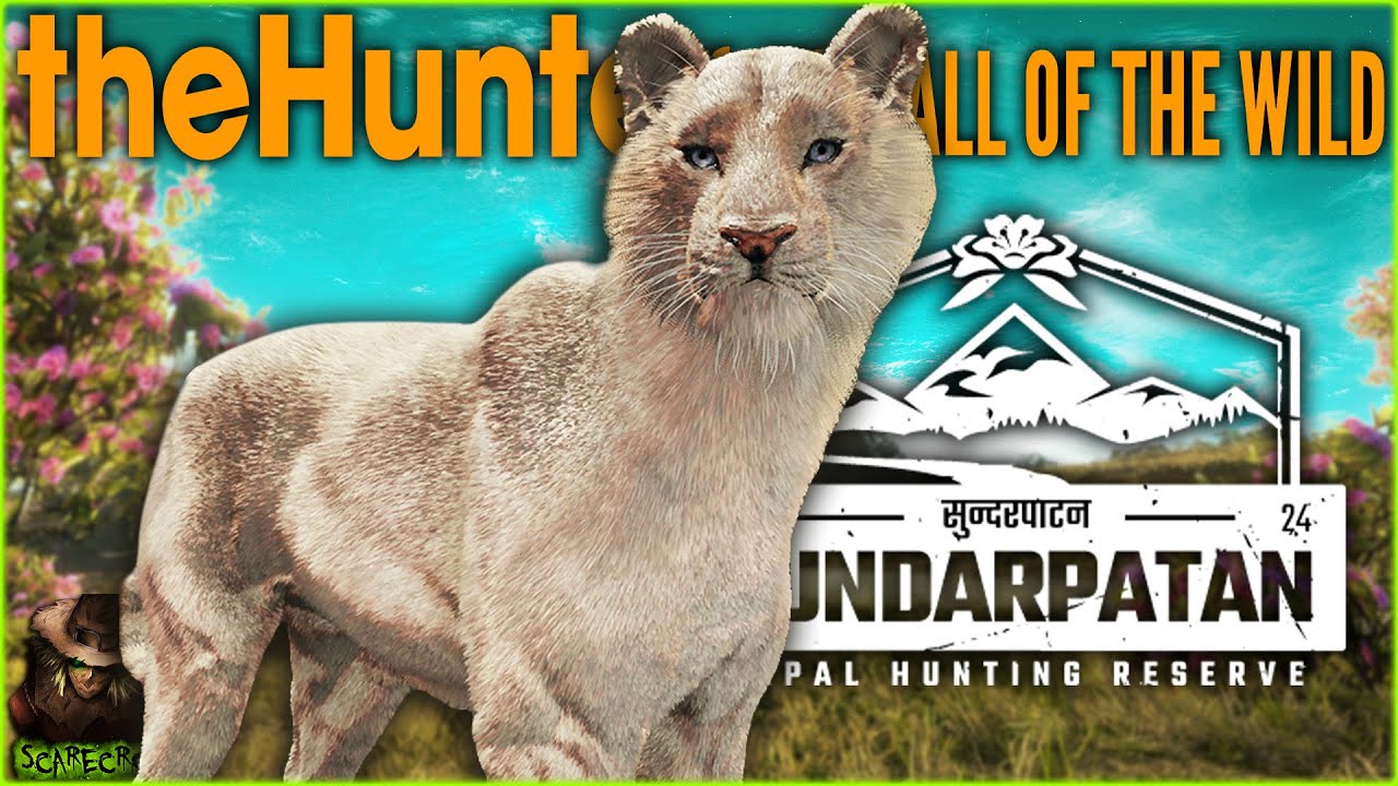 Hunting An INSANE White Stripeless Tiger Rare In Sundarpatan! Call of the wild