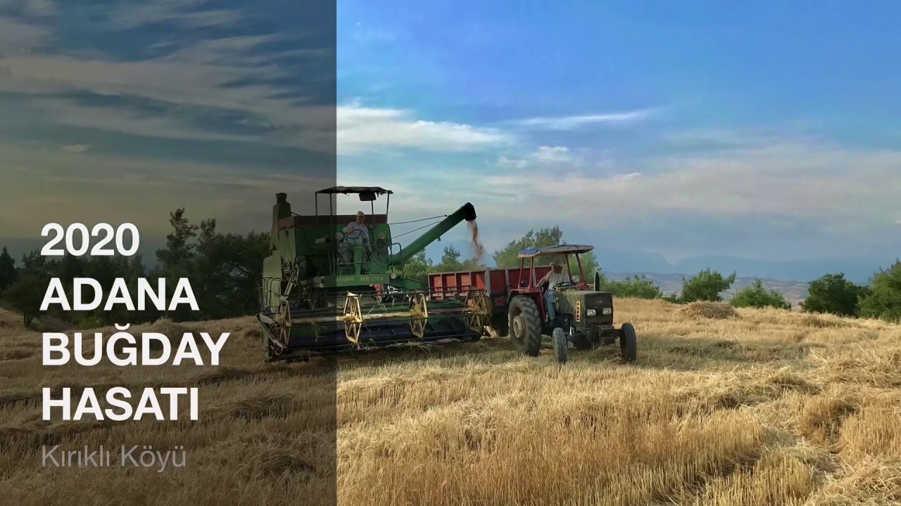 John DEERE 630 ile 2020 ADANA BUĞDAY SEZONU