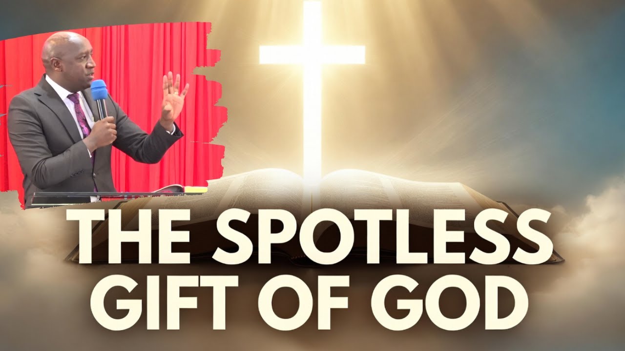 The Spotless Gift of God | Discovering God&rsquo;s Perfect Love & Salvation