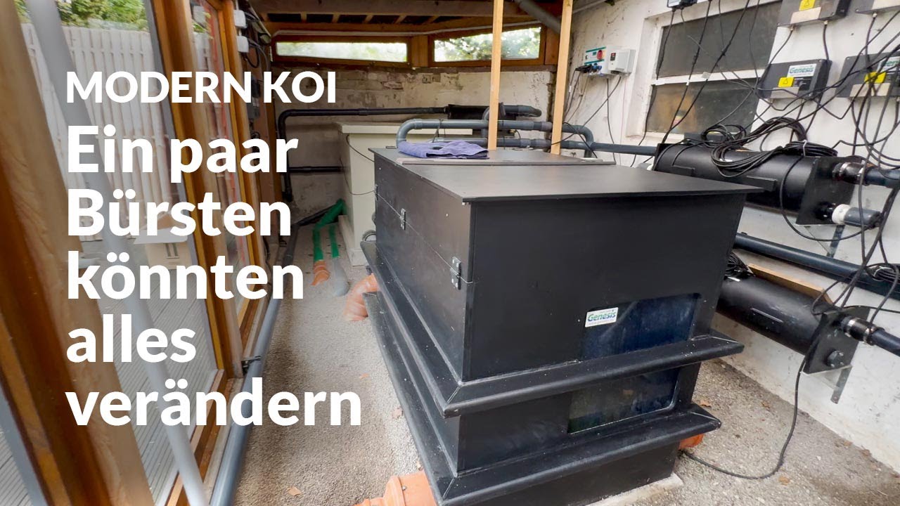 Dirks doppelt gepumpte Filteranlage: Eine Sache fehlt noch | Modern Koi Blog #7295