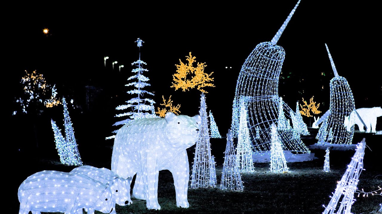 Lights in the Park 2025 is HERE!