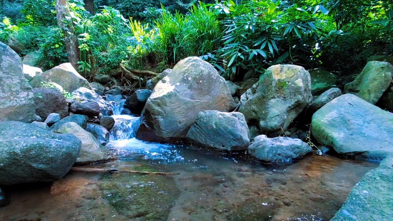 Gentle River Water for Calm Nights