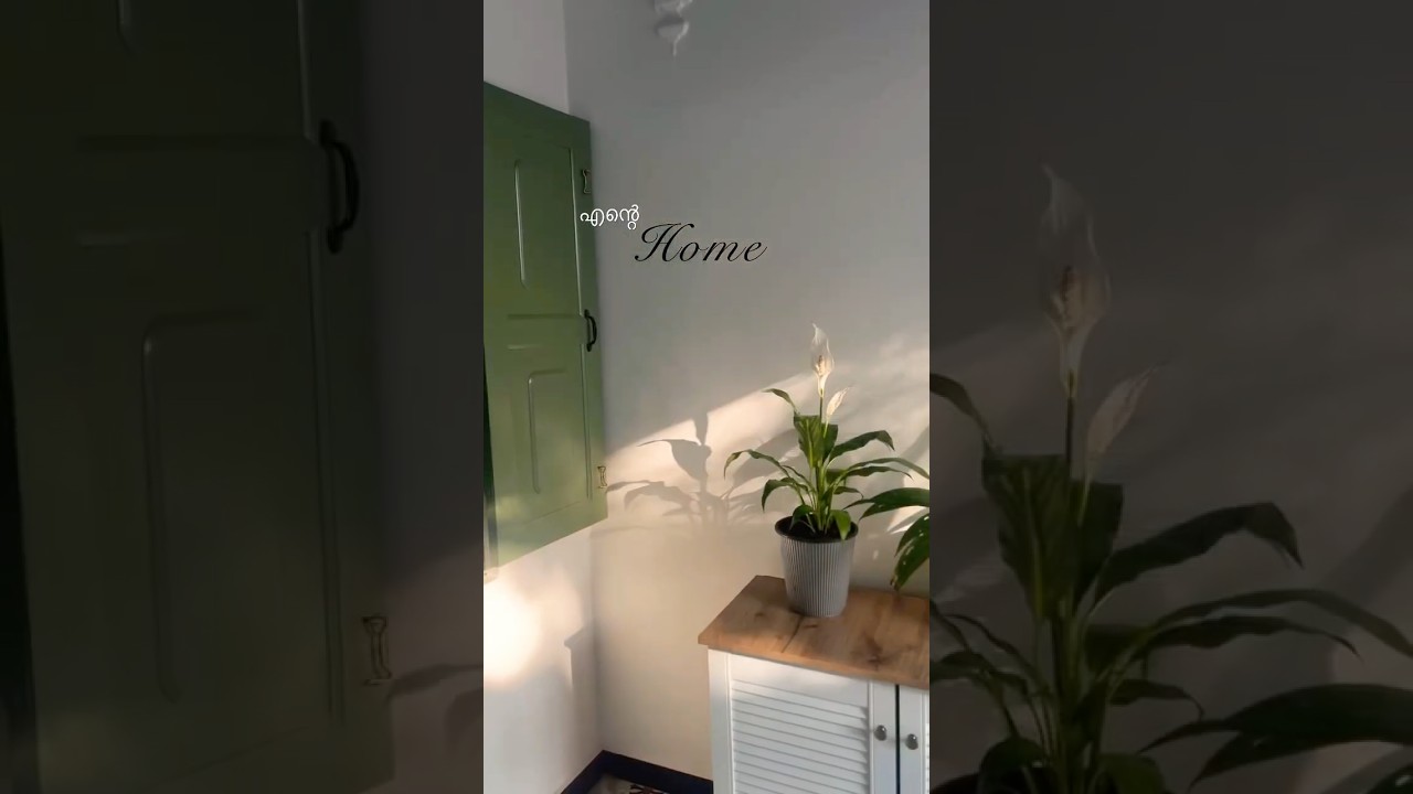 🏡🤍 #home #homepeace #peace #peacefulvibes #keralaarchitects #keralatradition #keralagram