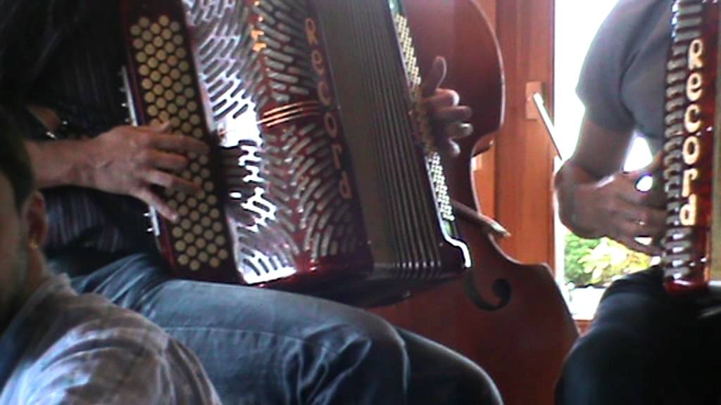Rainer Betschart und Sepp Heinzer, Illgau, Elias Roth (Bass)