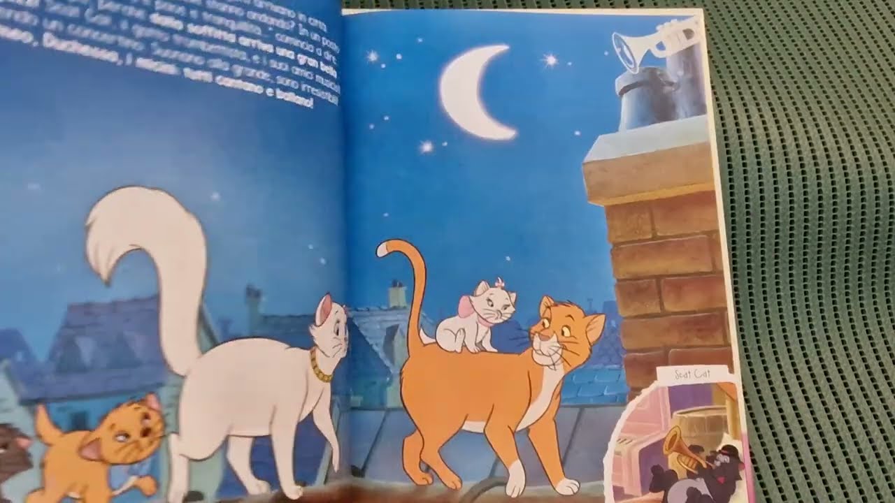 GIOCA CON CHECCO-GLI ARISTOGATTI- Magiche storie sonore bellissima favola guardo, leggo, ascolto