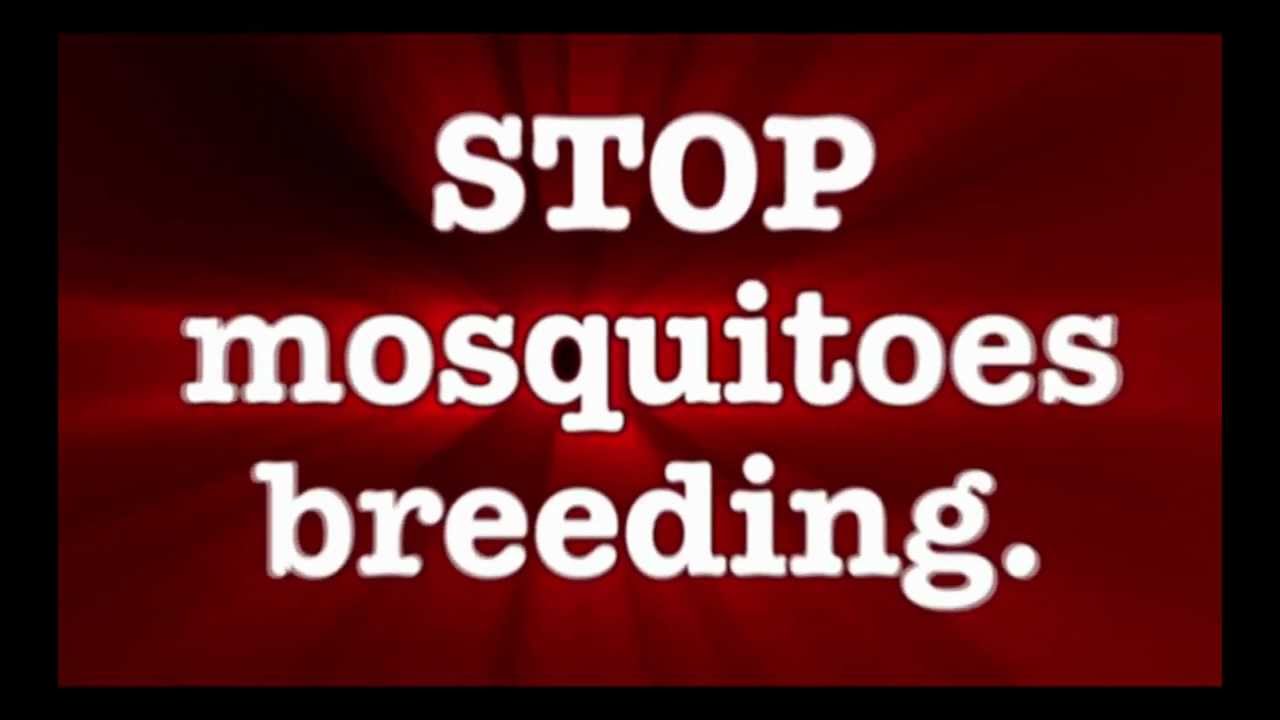 MRCU Stop Mosquitoes breeding PSA