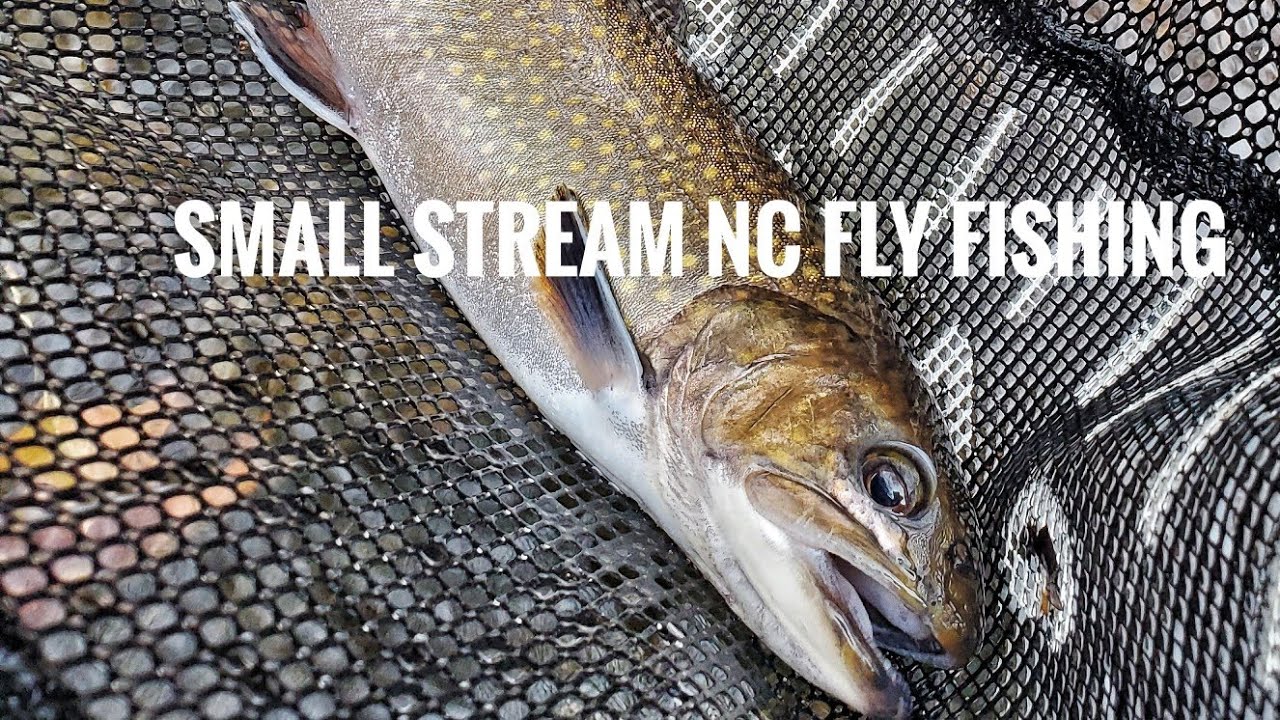 Small Stream Fly Fishing - NC Delayed Harvest