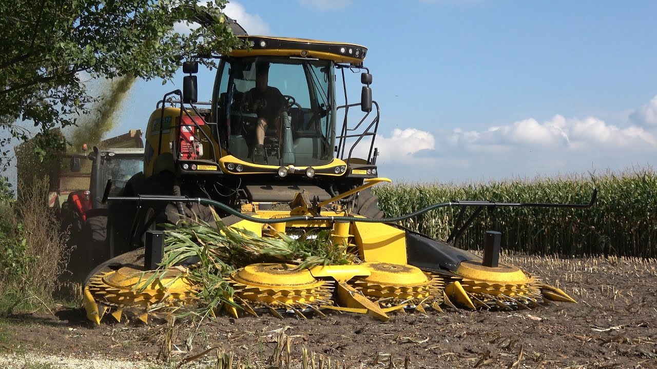 Rensen aan het mais hakselen met New Holland FR550 Forage Cruiser en Massey Ferguson trekkers (2020)