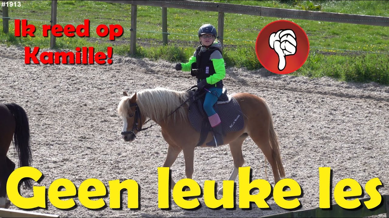 PAARD RIJDEN NIET LEUK. KAMILLE was niet leuk om op te rijden. Deze les was MINDER voor mij. #1913