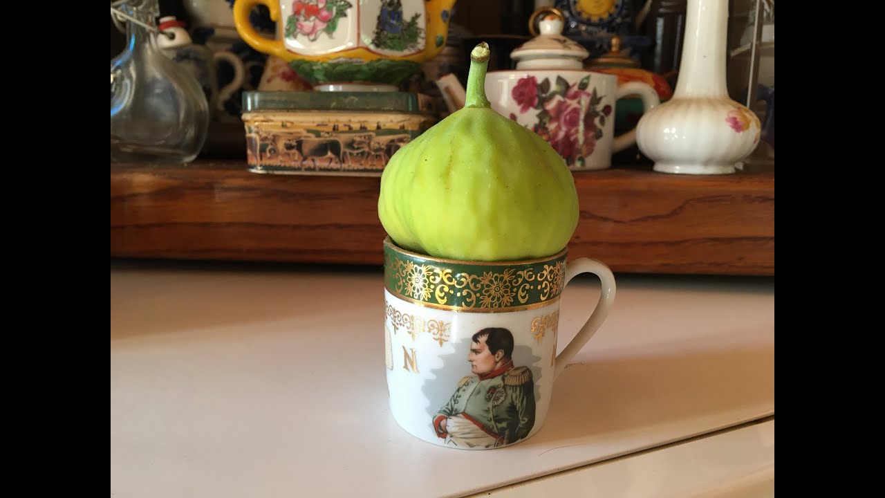 France. Figs. Sari Apsheron. Инжир Сары Апшерон. Дегустация. Оценка 4+ из 5.