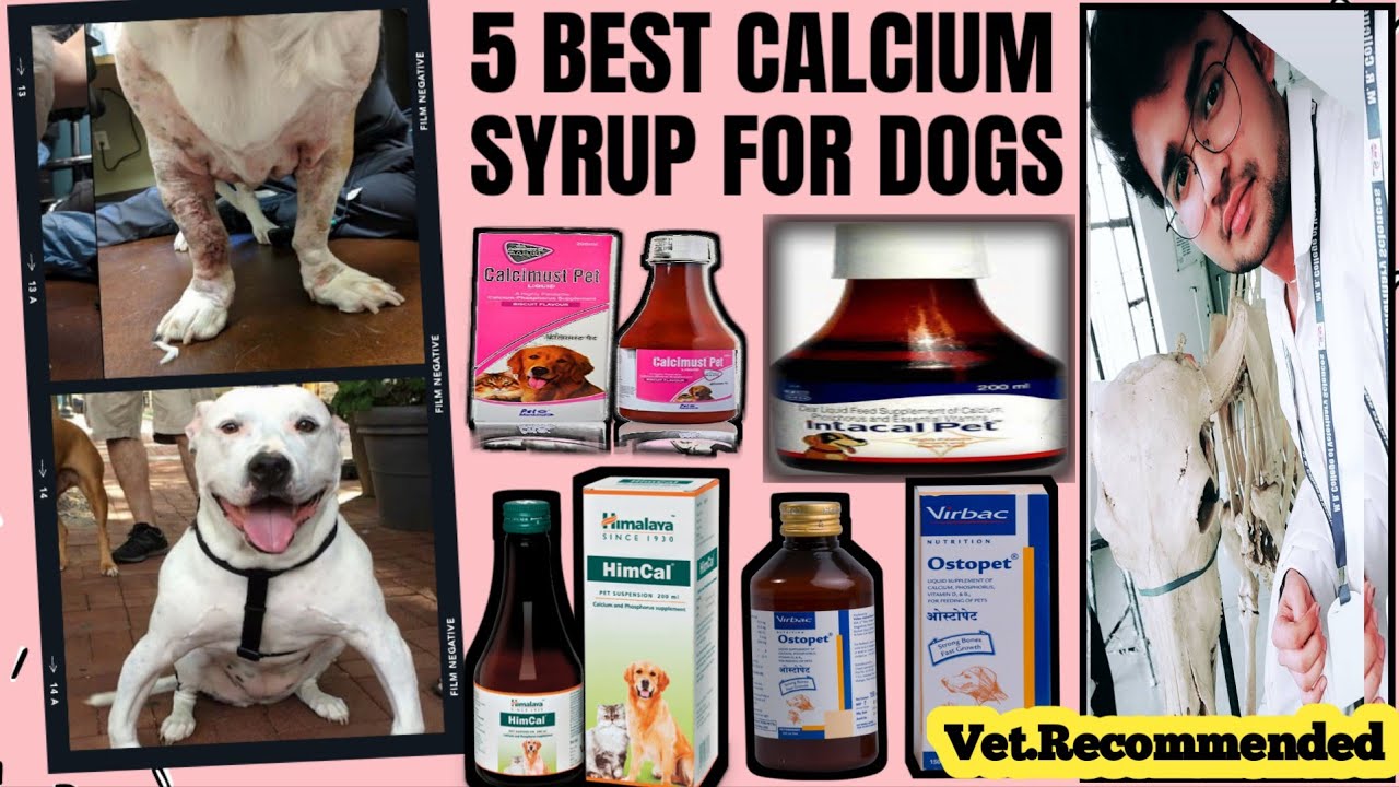 calcium syrup for dogs || best calcium syrup || calcium supplements for dog || by.THE PET VISION