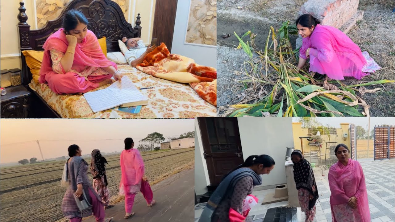 ਸ਼ਾਮ ਦੇ ਕੰਮ ਧੰਦੇ, ਕੱਚੀ ਹਲਦੀ ਤੋਂ ਕੀ ਬਣਾਇਆ ?? Pind Punjab de new vlog 