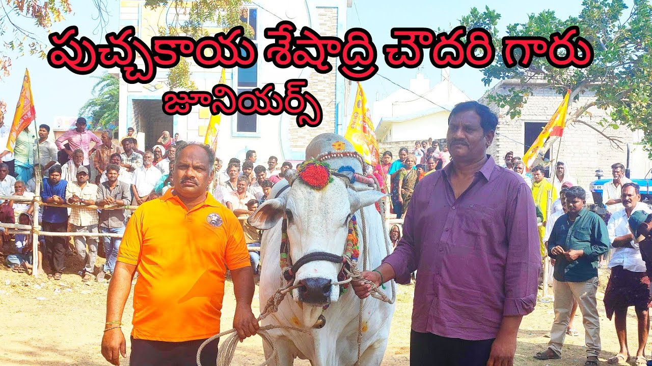 చిలకలూరిపేట జూనియర్ విభాగంలో 1వ జత పుచ్చకాయల శేషాద్రి చౌదరి గారు