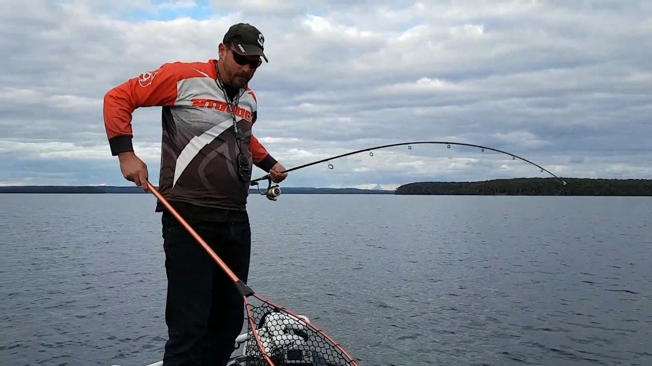 Atomic Hardz Vibration Lure  Nick Reay